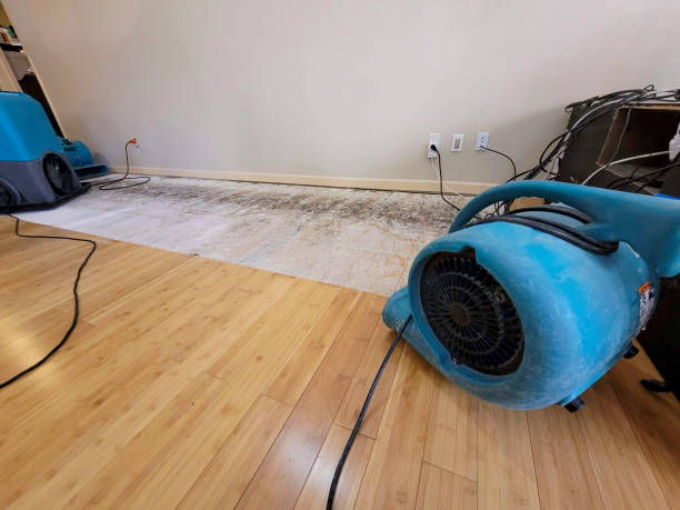 Professional Water Damage Repair technician working in Isleton, CA